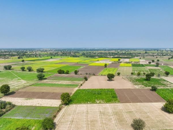 plots